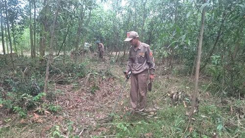 Cán bộ, chiến sĩ Lữ đoàn Công binh 7 rà phá bom mìn tại phường Bồng Sơn. Ảnh: H.S