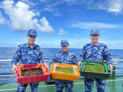 Các chiến sĩ "khoe" những khay rau cải mầm.