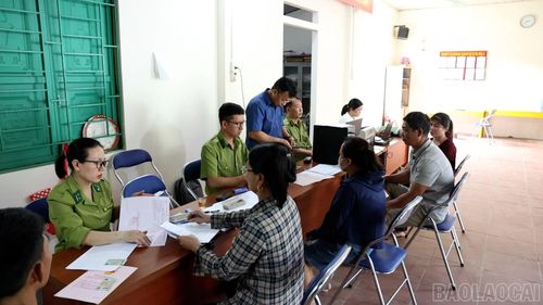 Xã Quy Mông triển khai cấp mã số vùng trồng quế cho người dân.
