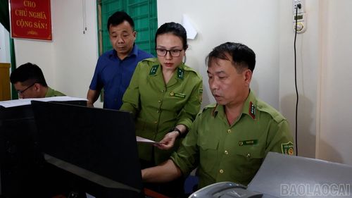 Cấp mã số vùng trồng được xác định là nhiệm vụ quan trọng trong lộ trình phát triển ngành hàng quế theo hướng bền vững tại xã Quy Mông.