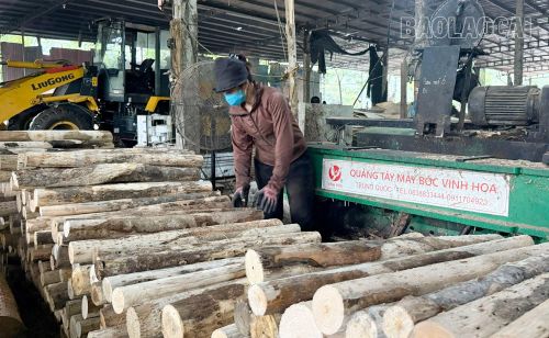 Các công đoạn từ bốc xếp gỗ, bóc vỏ đến cắt thành từng tấm ván mỏng đều tiềm ẩn nguy hiểm nếu không tuân thủ nghiêm quy trình an toàn lao động.