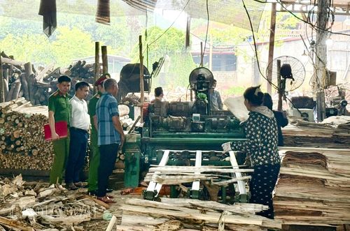 Lực lượng chức năng cần tăng cường kiểm tra các xưởng gỗ ván bóc để đảm bảo công tác phòng cháy, chữa cháy, an toàn lao động.