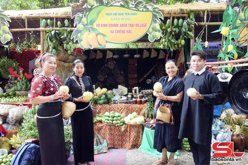 Mô hình trái xoài và cây xoài được các đội thi sáng tạo, trưng bày tại ngày hội.