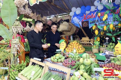 Các đội thi sáng tạo, trưng bày gian hàng tại Ngày hội.