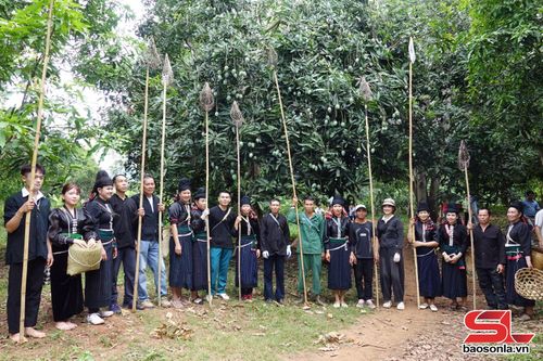 Các đội thi tham gia phần thi hái xoài tại Ngày hội xoài Yên Châu năm 2026.