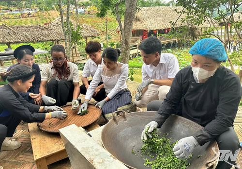 Du khách trải nghiệm hái chè, sao chè và khám phá không gian văn hóa trà tại một vùng chè nổi tiếng của Thái Nguyên.