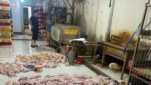 Địa điểm giết mổ vịt, gà trái phép, không đảm bảo vệ sinh tại một chợ trên địa bàn phường Thới Hòa.