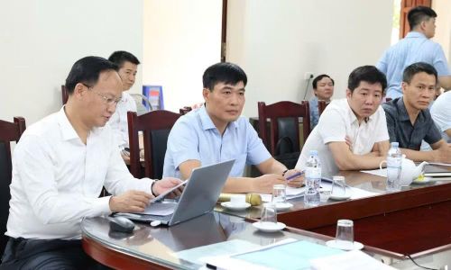 Các đại biểu tại buổi làm việc.