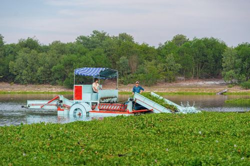 Vận hành thử nghiệm máy gom cắt bèo.