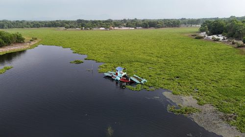Bèo phủ khắp mặt nước, có nguy cơ gây tắc nghẽn dòng chảy.