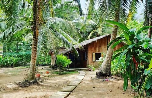 Hình minh họa "Vườn dừa của Ngoại". Ảnh: Internet