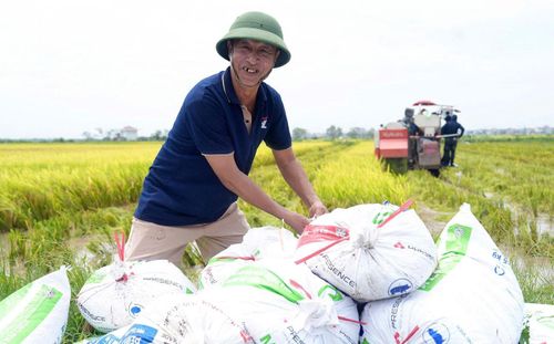 Niềm vui lộ rõ trên nét mặt của nông dân xã Yên Lãng.