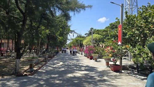 Màu xanh trên đảo Đá Tây A - Ảnh: VGP/LS
