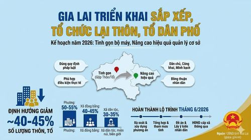 Kế hoạch tinh gọn bộ máy, sắp xếp thôn, tổ dân phố của tỉnh Gia Lai. Nguồn ảnh: UBND tỉnh Gia Lai.