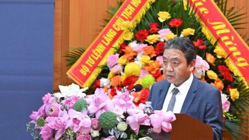 Thứ trưởng Văn hóa, Thể thao và Du lịch Hoàng Đạo Cương phát biểu. (Ảnh: Ban tổ chức)