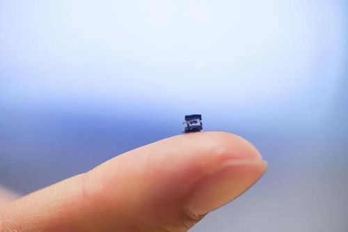 Robot siêu nhỏ của các nhà nghiên cứu từ ĐH Công nghệ Nanyang có thể được sử dụng trong tương lai để thực hiện các ca phẫu thuật xâm lấn tối thiểu. Ảnh: ĐH CÔNG NGHỆ NANYANG