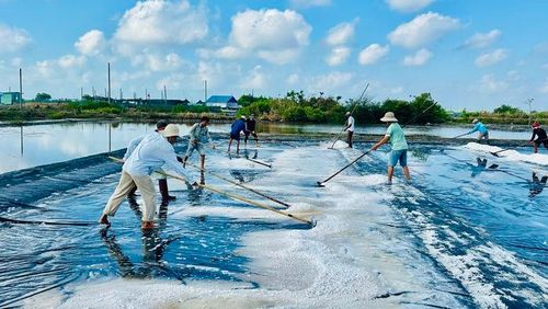 Diêm dân thu hoạch muối trên những cánh đồng ở An Ngãi (xã Long Điền, TPHCM).