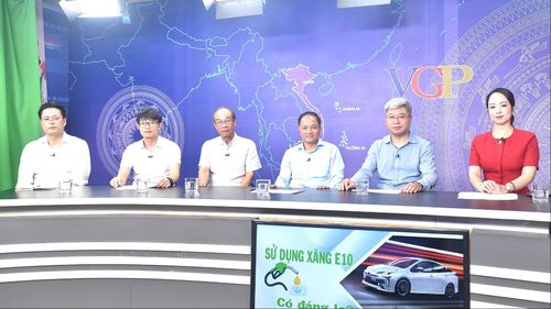 Các chuyên gia, nhà quản lý tham dự tọa đàm. Ảnh VGP