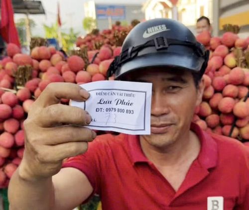 Một điểm cân ở phường Phượng Sơn thu mua sọt vải thiều với giá 73.000 đồng/kg.