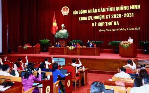 Các đại biểu HĐND tỉnh biểu quyết thông qua các nghị quyết trình tại kỳ họp.