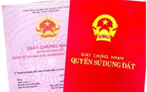 Ảnh minh họa.