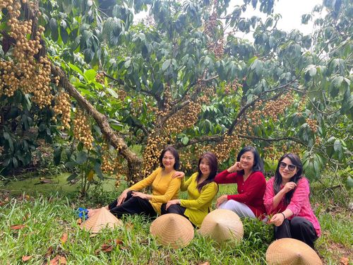 Hành trình khám phá vườn trái cây trở thành trải nghiệm được nhiều du khách yêu thích khi lưu trú tại homestay