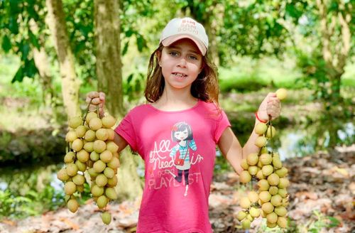 Du khách được trải nghiệm không gian miệt vườn đậm chất miền Tây Nam Bộ