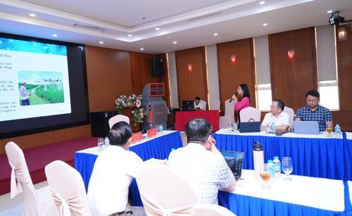 Các đại biểu trình bày tham luận tại hội thảo. Ảnh: TL