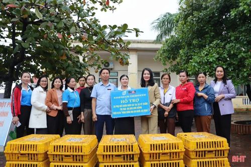 Hội LHPN Hà Tĩnh còn triển khai nhiều mô hình hỗ trợ sinh kế cho phụ nữ có hoàn cảnh khó khăn.