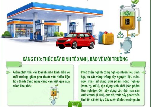 Từ 1/6/2026, xăng sinh học E10 chính thức được triển khai trên toàn quốc