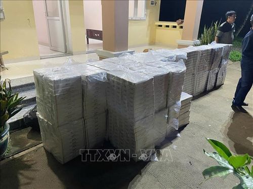Tang vật bị tạm giữ. Ảnh: TTXVN phát
