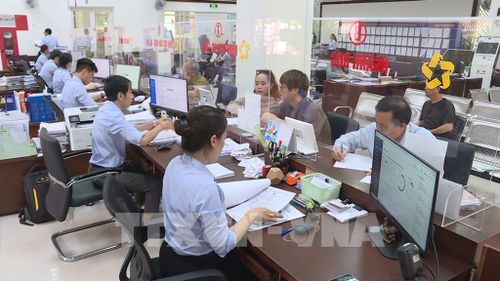 Dù áp lực hồ sơ tăng vọt (với lượng hồ sơ trực tuyến đạt 7.800 hồ sơ và hơn 200.000 hồ sơ chứng thực), các công chức phường Phú Nhuận vẫn dành sự quan tâm đặc biệt cho người già yếu, người khuyết tật. Ảnh: Hữu Duyên - TTXVN