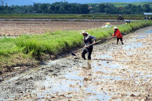 Công tác rà soát nguồn nước, kiểm tra hệ thống thủy lợi, xây dựng phương án điều tiết nước phục vụ sản xuất vụ Hè Thu được nông dân các địa phương tỉnh Quảng Trị đặc biệt chú trọng. Ảnh: Tá Chuyên - TTXVN