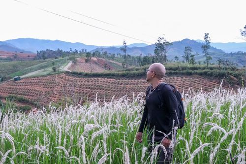  Đứng giữa miền cỏ tranh, có thể cảm nhận trọn vẹn vẻ đẹp khoáng đạt của núi đồi Đak Sơmei. Ảnh: Hoàng Ngọc 