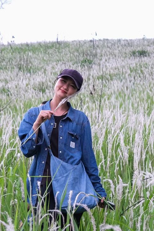  Những bông cỏ tranh mềm như nhung là điểm nhấn quyến rũ giữa núi đồi đầu mùa mưa. Ảnh: Hoàng Ngọc 
