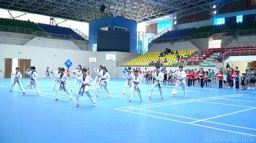 Nhiều tiết mục võ thuật ấn tượng được biểu diễn tại lễ khai mạc các hoạt động thể thao hè.