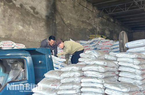 Các đại lý nhập thêm phân bón sẵn sàng cung ứng cho sản xuất vụ Mùa 2026.