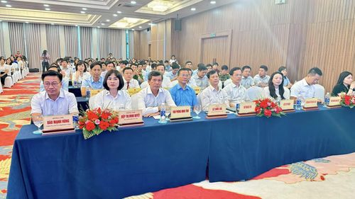Các đại biểu tham dự lễ phát động - Ảnh: Q.N