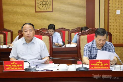 Phó Bí thư Tỉnh ủy, Chủ tịch UBND tỉnh Phan Huy Ngọc phát biểu tại phiên họp.