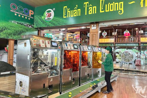 Dây chuyền đóng gói hiện đại tại HTX chè Hảo Đạt (xã Tân Cương) góp phần bảo đảm chất lượng và truy xuất nguồn gốc sản phẩm.