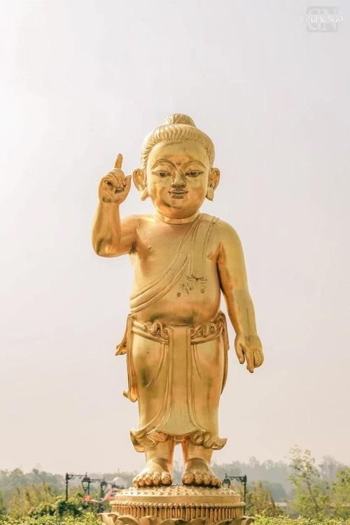 Tôn tượng Đức Phật đản sanh tại thánh tích Lâm-tỳ-ni. Tôn tượng này nằm trong khu vực được trùng tu và tôn tạo nhân dịp “Visit Lumbini Year 2012” với sự hỗ trợ của Phật tử và nhân dân Thái Lan, như một món quà dành cho những người hành hương từ khắp nơi trên thế giới khi trở về chiêm bái miền đất thiêng nơi Đức Phật đản sanh