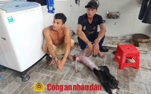 Hai đối tượng: Ngô Hoàng Phi và Ngô Hoàng Hậu.