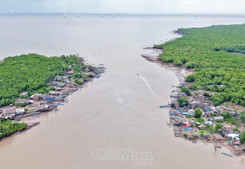 Cửa biển Giá Cao (xã Tân Thuận) đang trong tình trạng sạt lở.