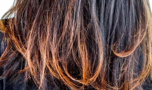 So với mái tóc thông thường, mái tóc bị cháy nắng thường có xu hướng chẻ ngọn nhiều hơn, ngọn tóc giòn dễ gãy rụng và tóc cũng khó giữ được nếp tóc như ban đầu.