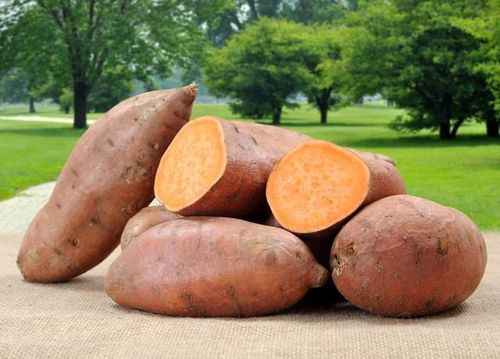 Khoai lang là thực phẩm giàu vitamin và khoáng chất.
