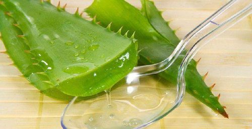 Gel lô hội hỗ trợ dưỡng ẩm và phục hồi da.