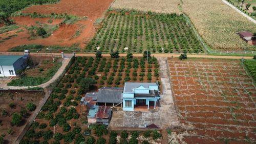 Có 3 trường hợp người dân được giảm 70% tiền sử dụng đất khi chuyển đổi đất vườn lên đất ở. Ảnh: Văn Quyết.