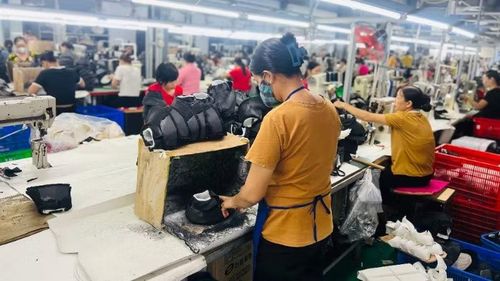 Nhiều chính sách mới được triển khai nhằm giảm chi phí và tạo thuận lợi cho hoạt động sản xuất, kinh doanh. (Ảnh: Minh Phương)