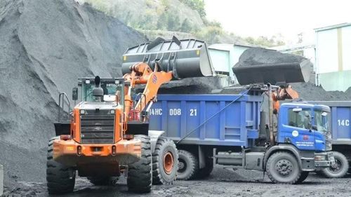Công ty Tuyển than Hòn Gai chuẩn bị nguồn than cung cấp cho sản xuất điện.