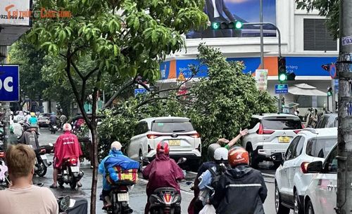 Sự cố khiến giao thông qua khu vực bị ùn tắc